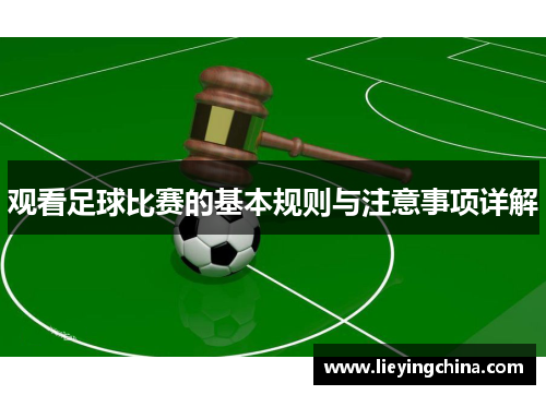 观看足球比赛的基本规则与注意事项详解
